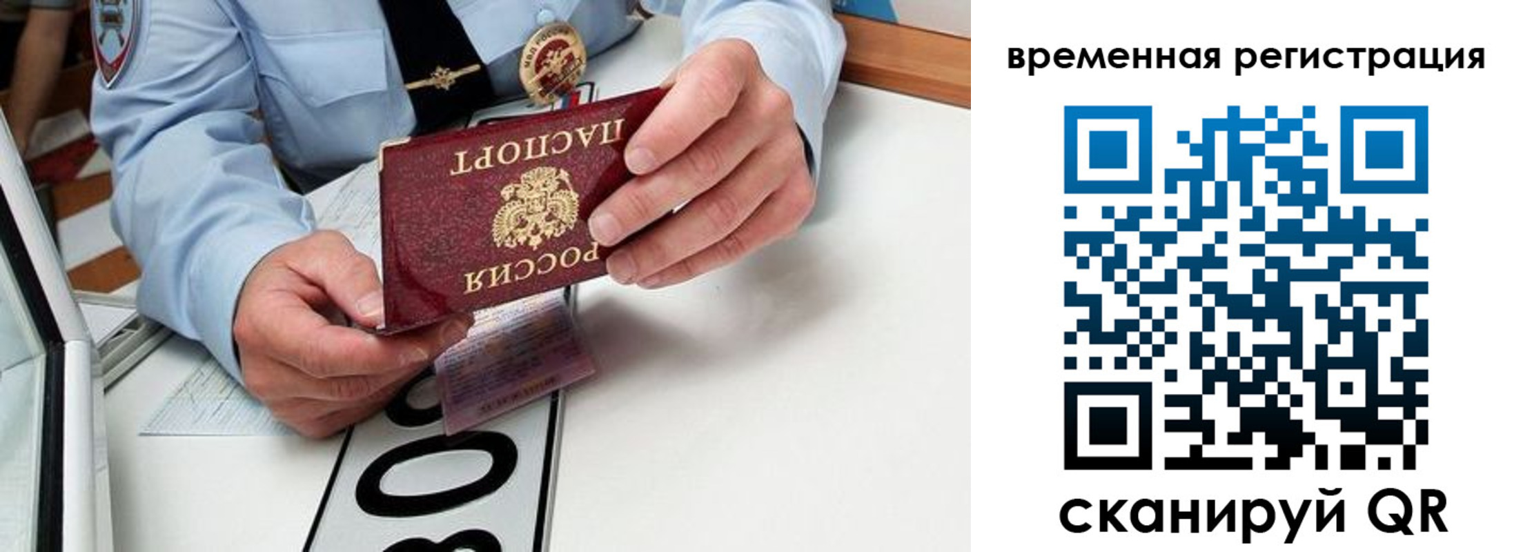 прописка гарантия в Бабаево